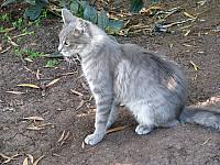 Picture 128