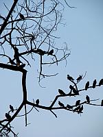 Picture 210