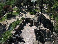 Picture 239