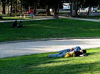 Picture 279