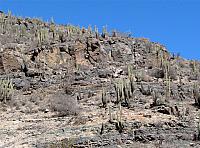 AZ 017