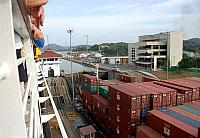 DSC 0060