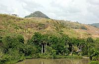 DSC 0063