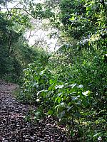 IMG 2063
