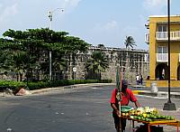 IMG 2229