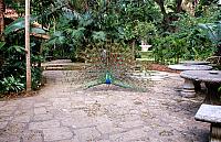 DSC 0001