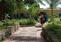 DSC 0021