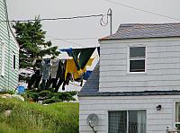 201107 229