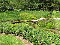 201107 1192