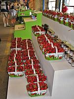 201107 824