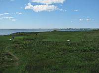 201107 355