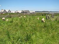 201107 516
