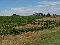 201109 093