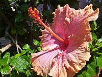 201109SAN 117