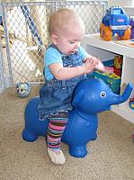 Elephant Rider