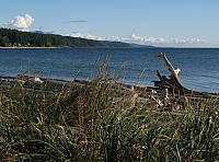 201110 038
