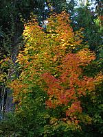 201110 055