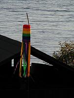 201110 065