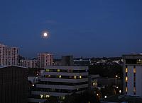201111 039