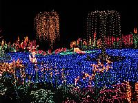 Garden d'Lights