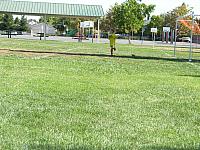SH101302