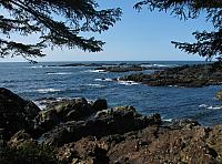201203A 065