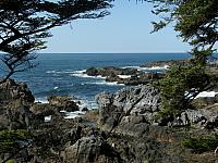 201203A 095