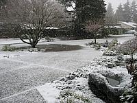 Snow (left click to enter album)