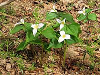 201204 002