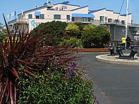 201205A2 1482