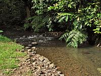 Stopped by a small stream