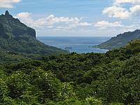 Cook's Bay from Belvedere