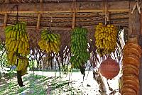 Bananas