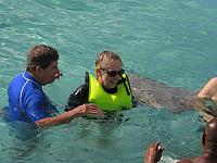 Stingray encounter