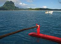 Outside the reef to swim with blacktip reef sharks