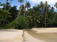 Small stream on the beach