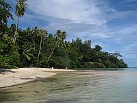 The beach