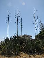 201205A2 879