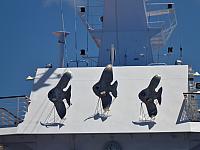 Sunfish decor on the ship