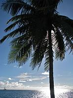 Raiatea