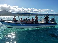 Searching for stingrays