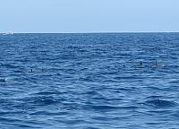 201205A2 605