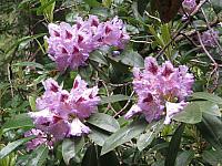 201206 016