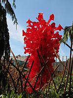 201209Seattle 065
