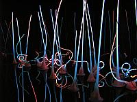 201209Seattle 066