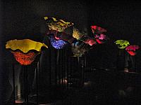 201209Seattle 114