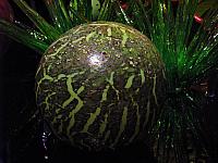 20120922 037