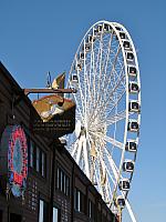 201209Seattle 009