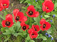 201304 031