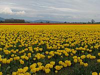 201304 038